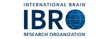 IBRO - Research Organization